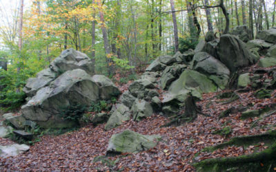 Felsengruppe Wildpark